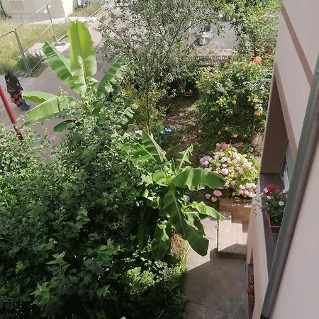 Cozy And Equipped Outbuilding In Apartament Schiltigheim